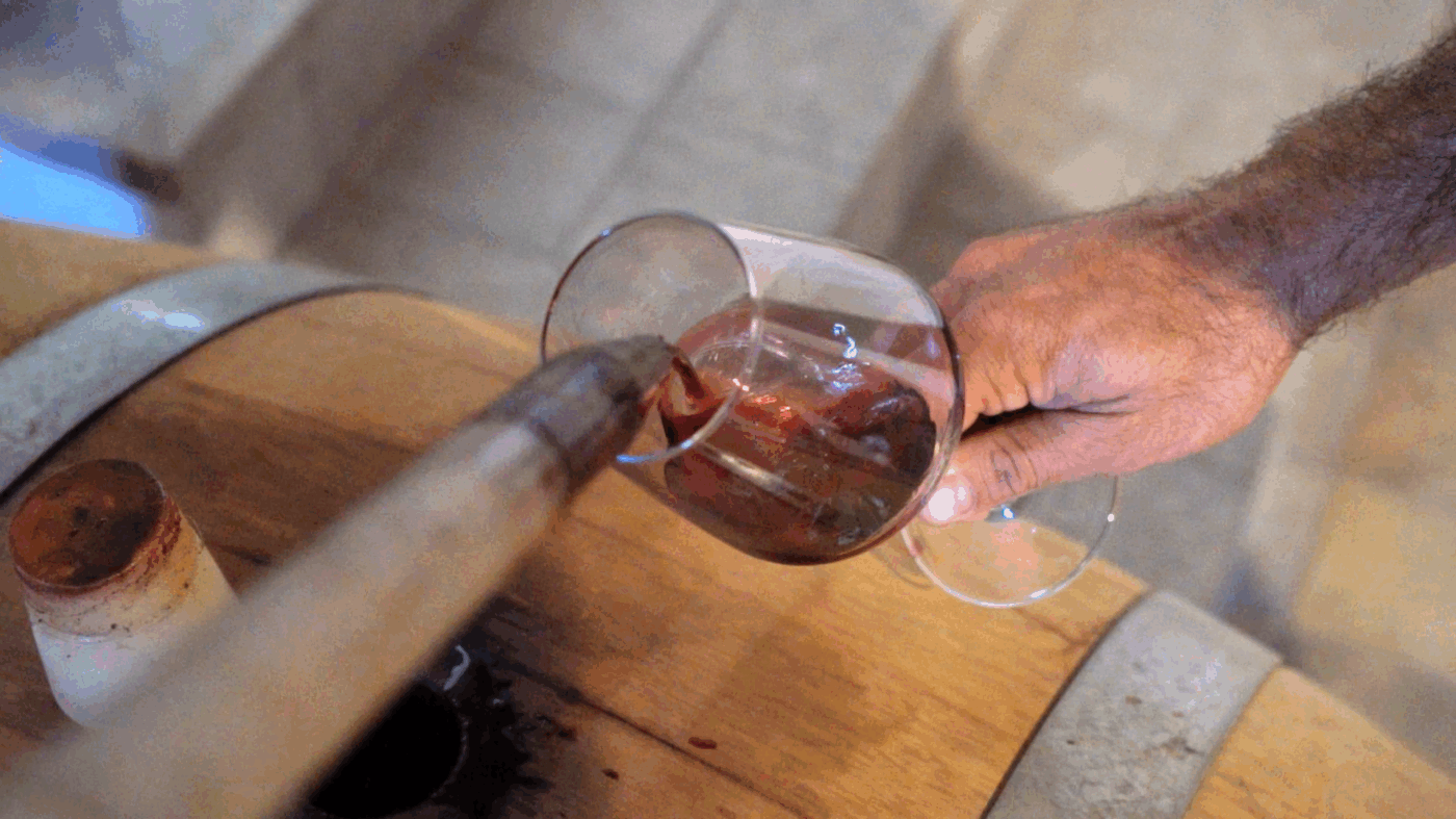 Degustazione di vino rosso direttamente dalla botte, calice riempito in cantina durante una visita enologica in Piemonte