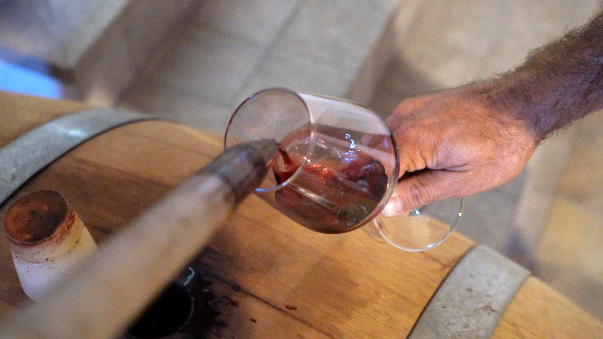 Degustazione di vino rosso direttamente dalla botte, calice riempito in cantina durante una visita enologica in Piemonte