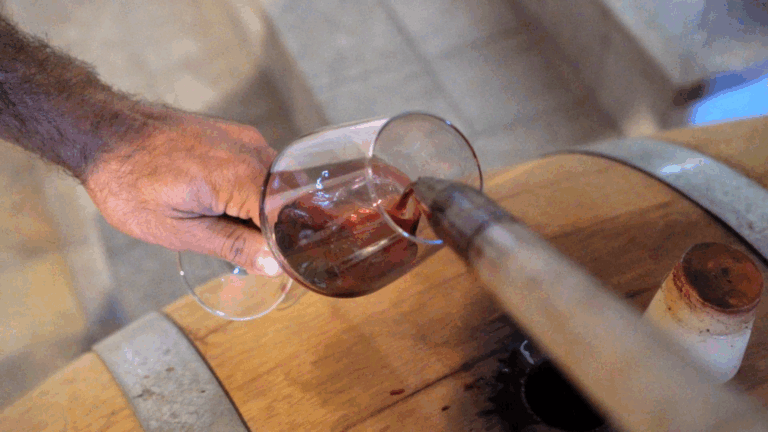 Degustazione di vino in cantina, calice riempito direttamente dalla botte durante una visita a una cantina piemontese