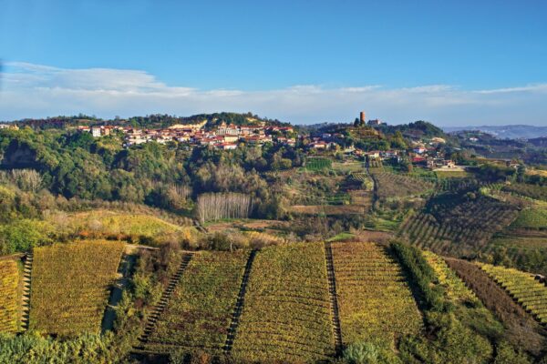 montaldo roero arneis docg